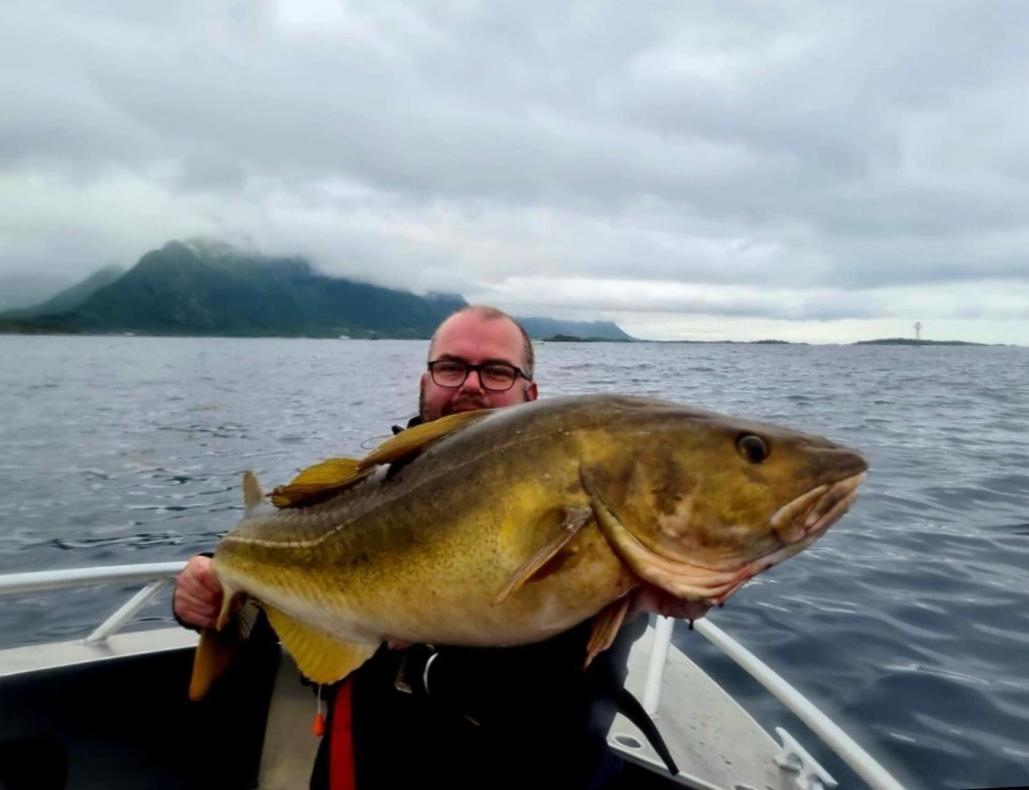 Lofoten And Vesteralen Kveldro Myrland Eksteriør billede
