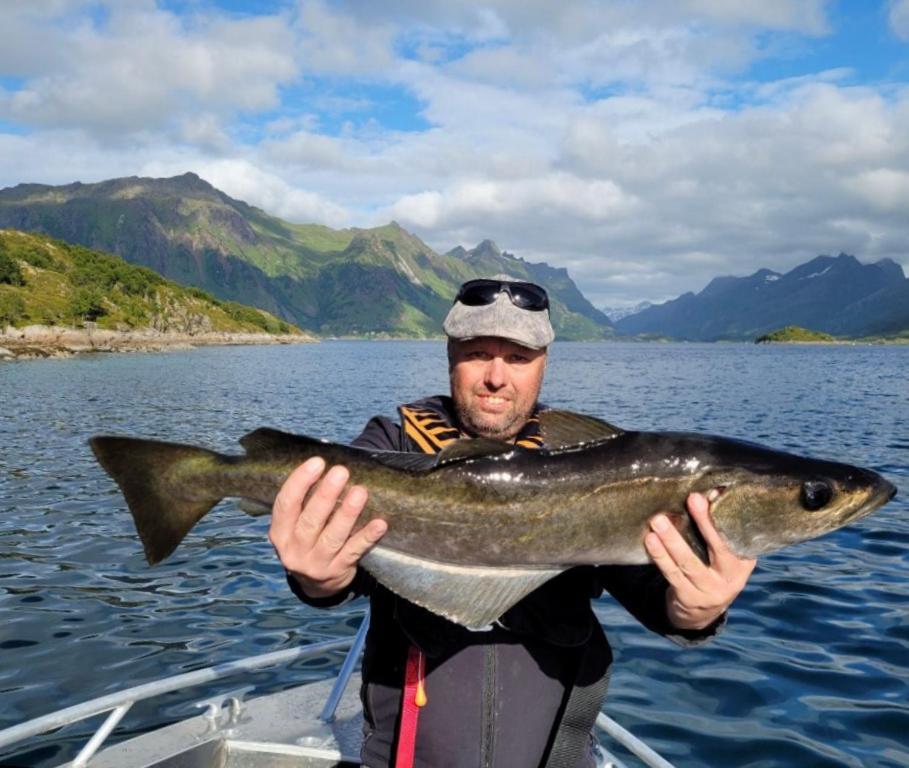 Lofoten And Vesteralen Kveldro Myrland Eksteriør billede