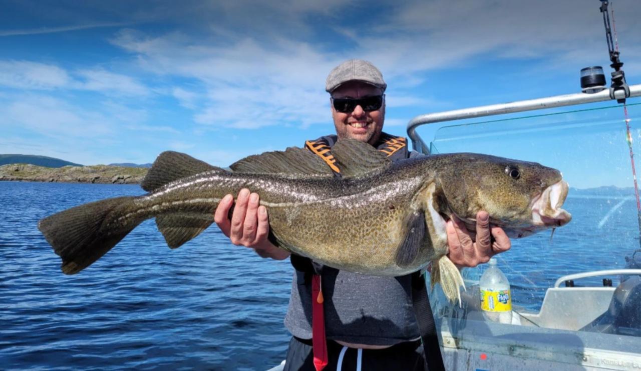 Lofoten And Vesteralen Kveldro Myrland Eksteriør billede