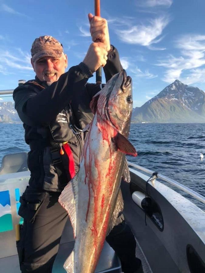 Lofoten And Vesteralen Kveldro Myrland Eksteriør billede