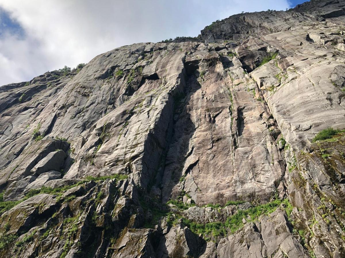 Lofoten And Vesteralen Kveldro Myrland Eksteriør billede