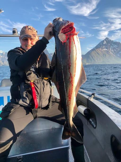 Lofoten And Vesteralen Kveldro Myrland Eksteriør billede