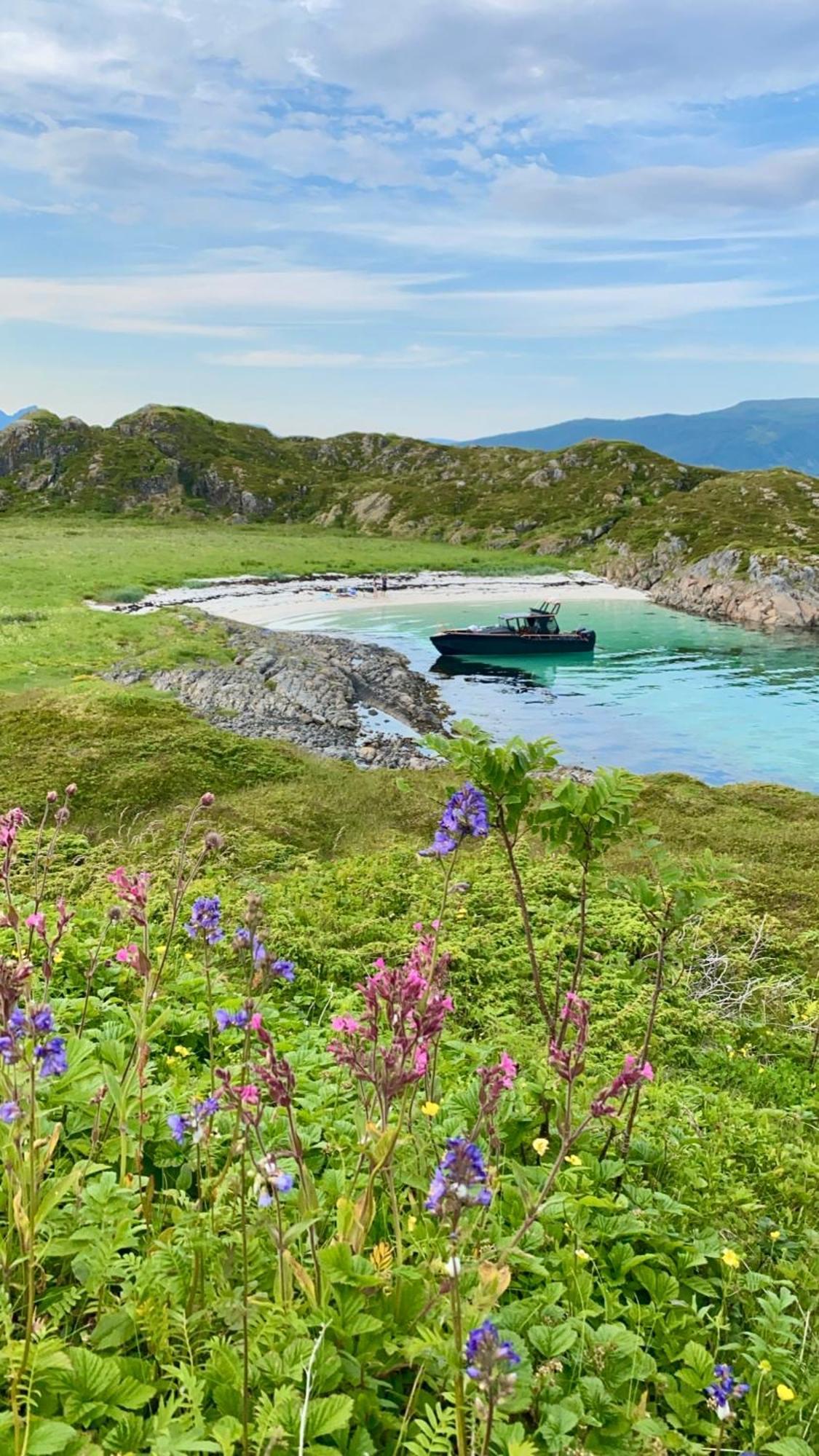 Lofoten And Vesteralen Kveldro Myrland Eksteriør billede