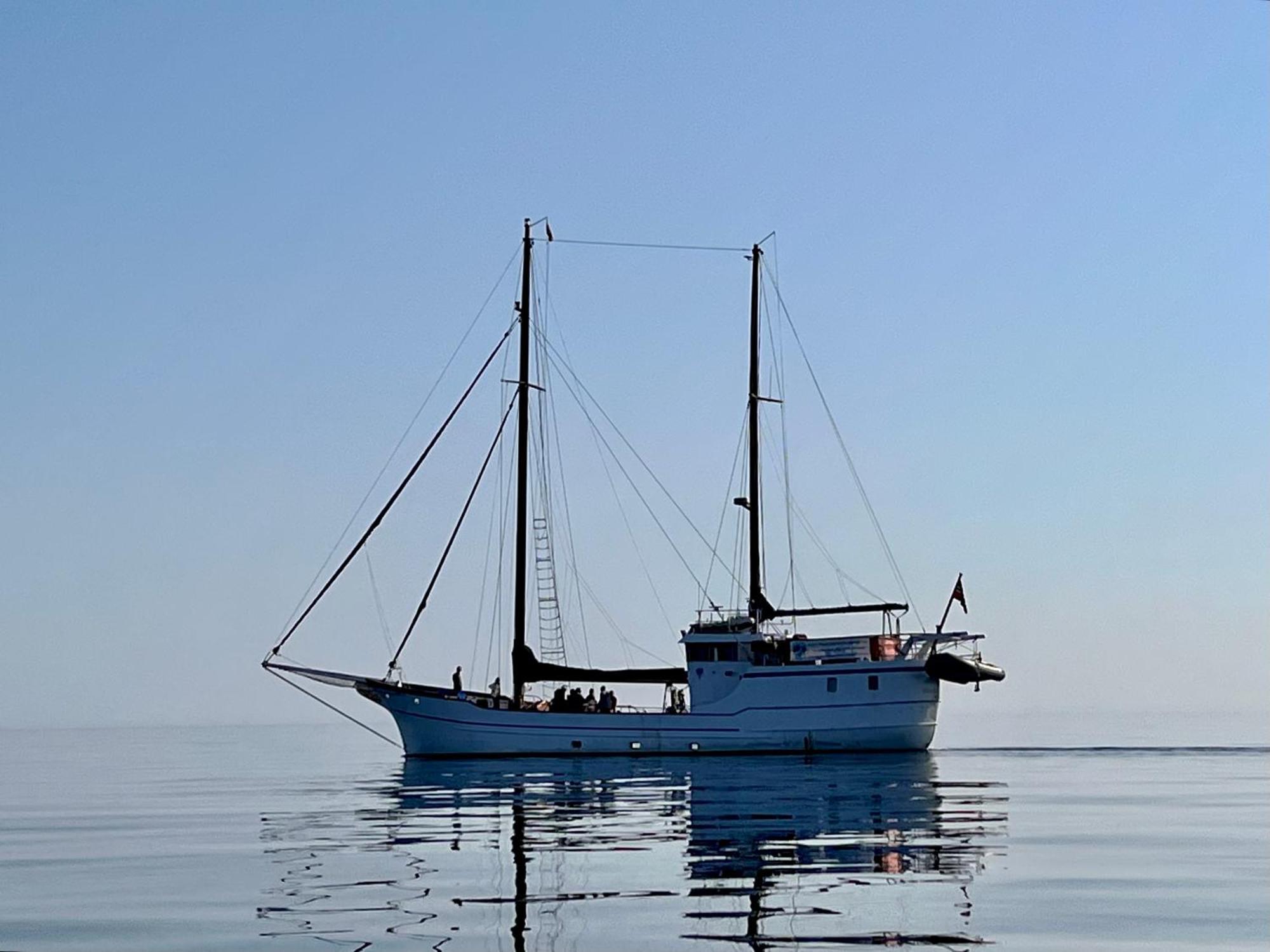 Lofoten And Vesteralen Kveldro Myrland Eksteriør billede