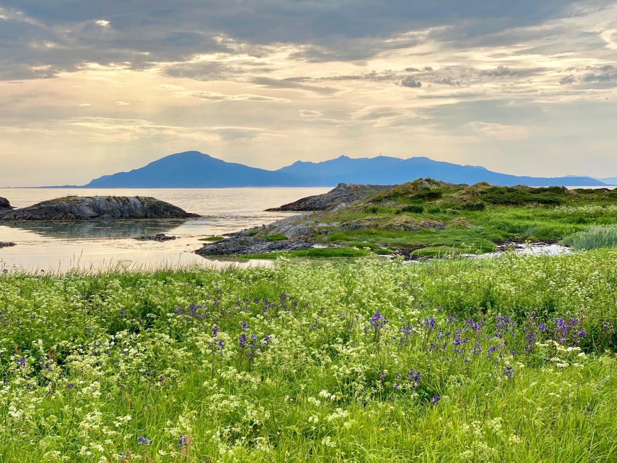 Lofoten And Vesteralen Kveldro Myrland Eksteriør billede