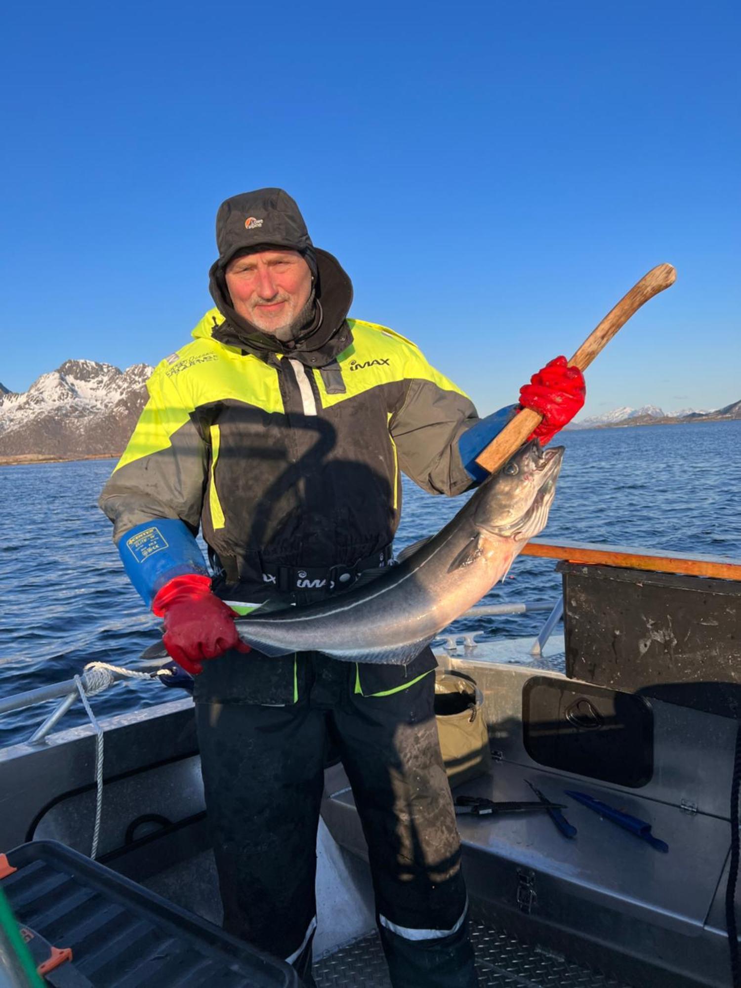 Lofoten And Vesteralen Kveldro Myrland Eksteriør billede