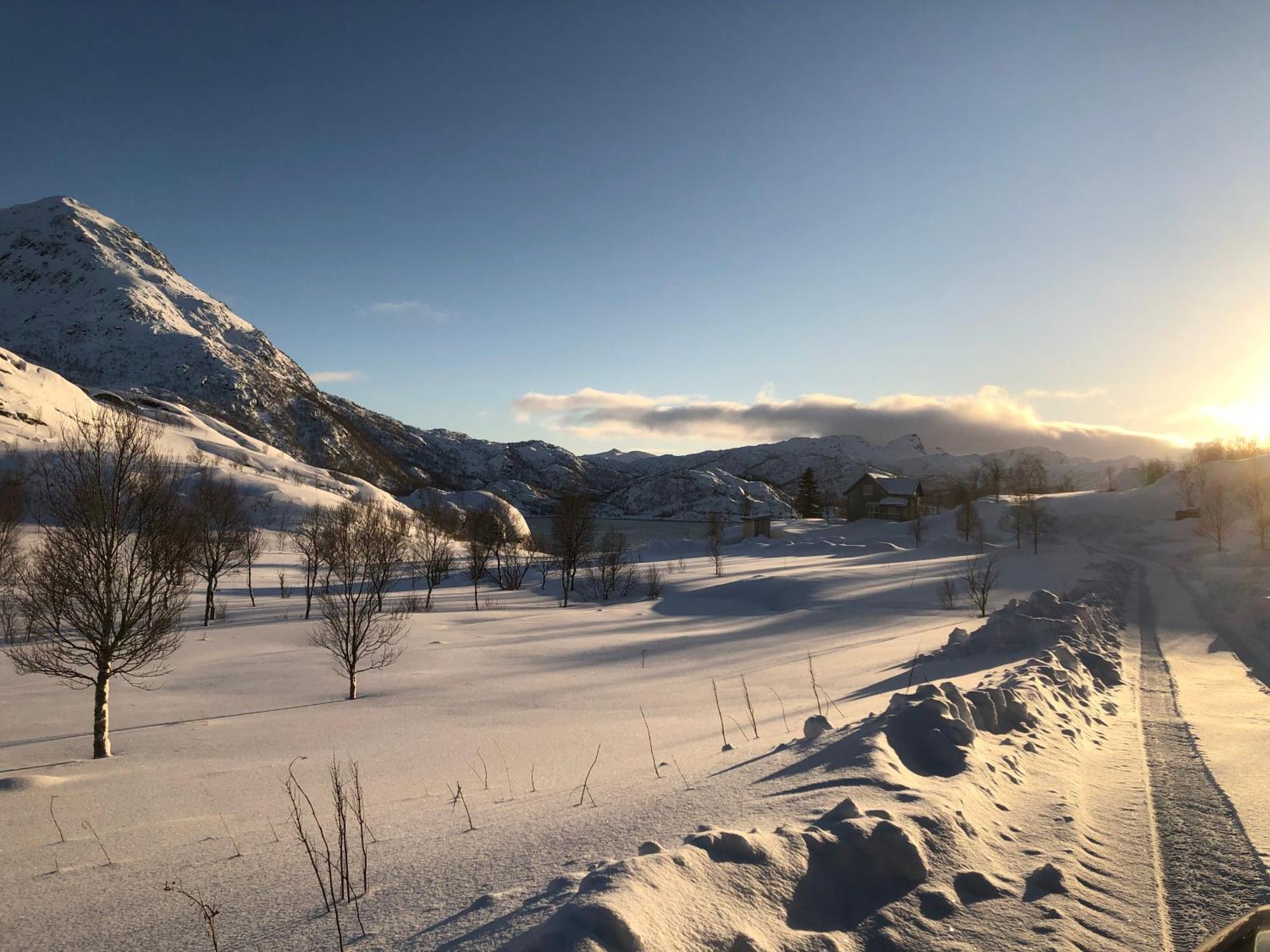 Lofoten And Vesteralen Kveldro Myrland Eksteriør billede