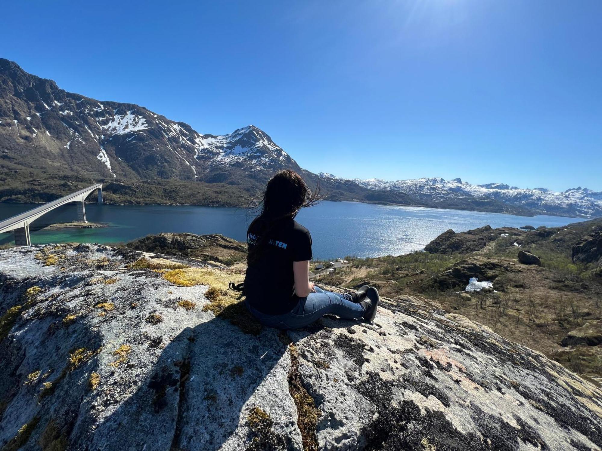 Lofoten And Vesteralen Kveldro Myrland Eksteriør billede